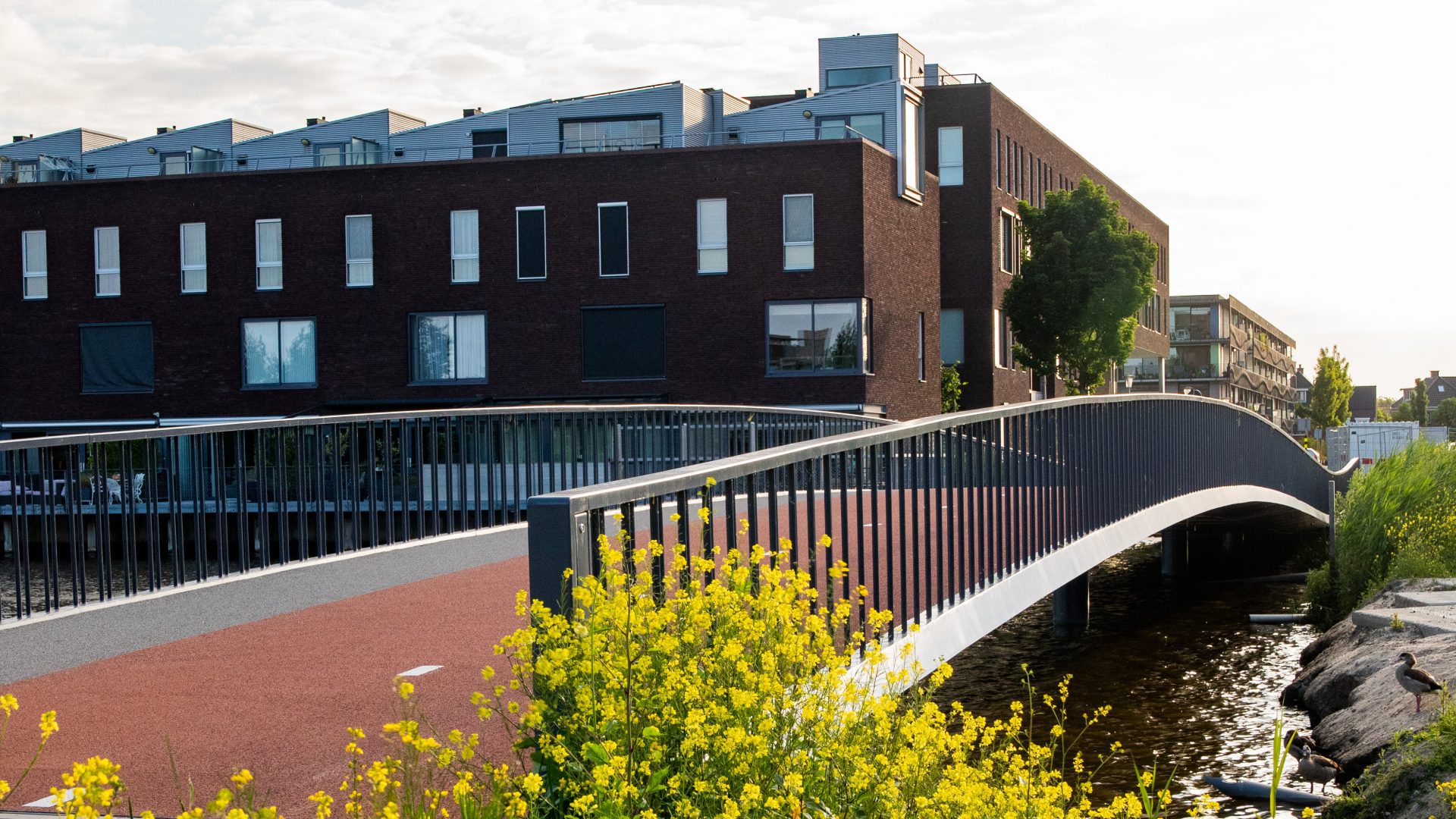    Fietsbrug Berkel centrum west