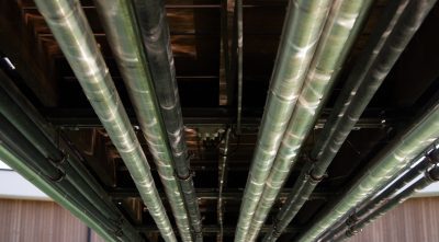 Detail steigers Lentse Plas